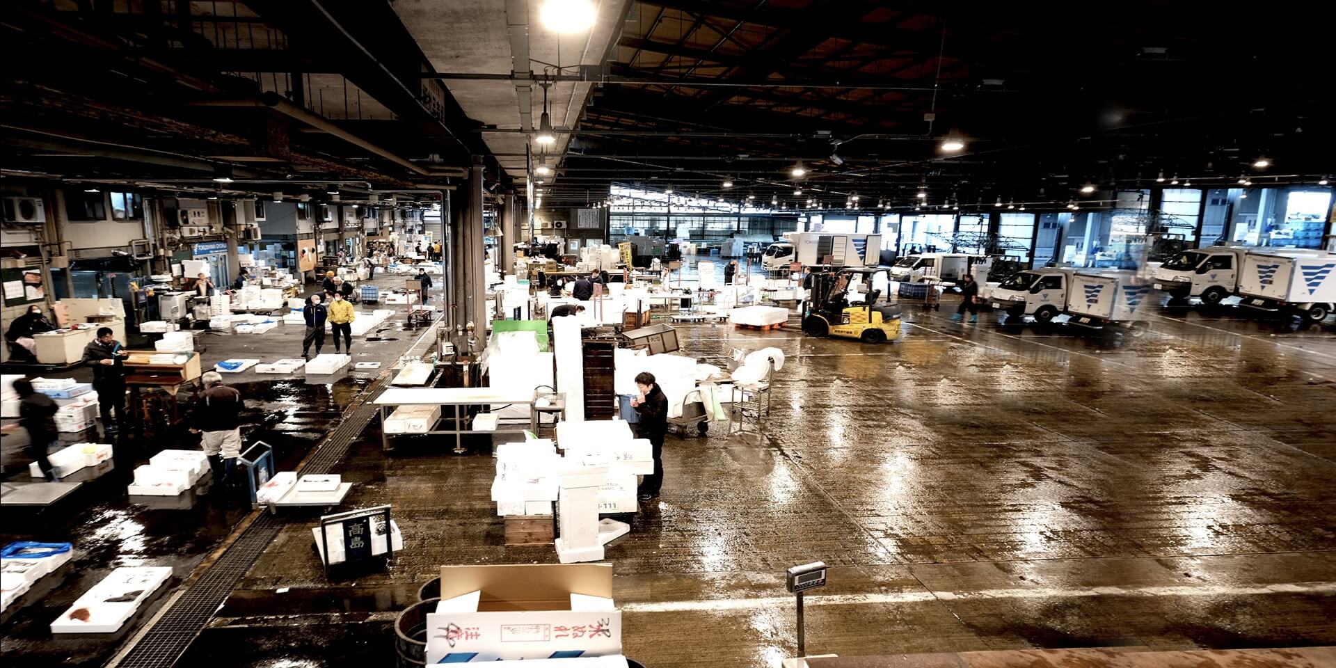 徳島魚市場 競り場